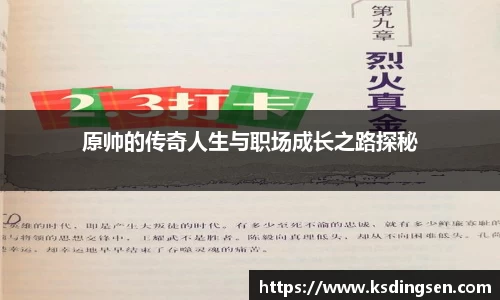 原帅的传奇人生与职场成长之路探秘